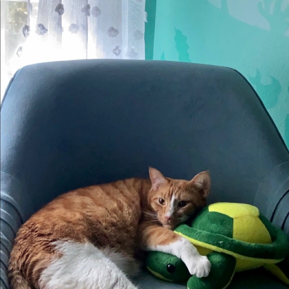 Meet your Posher, Paige - Picture 2 of 4